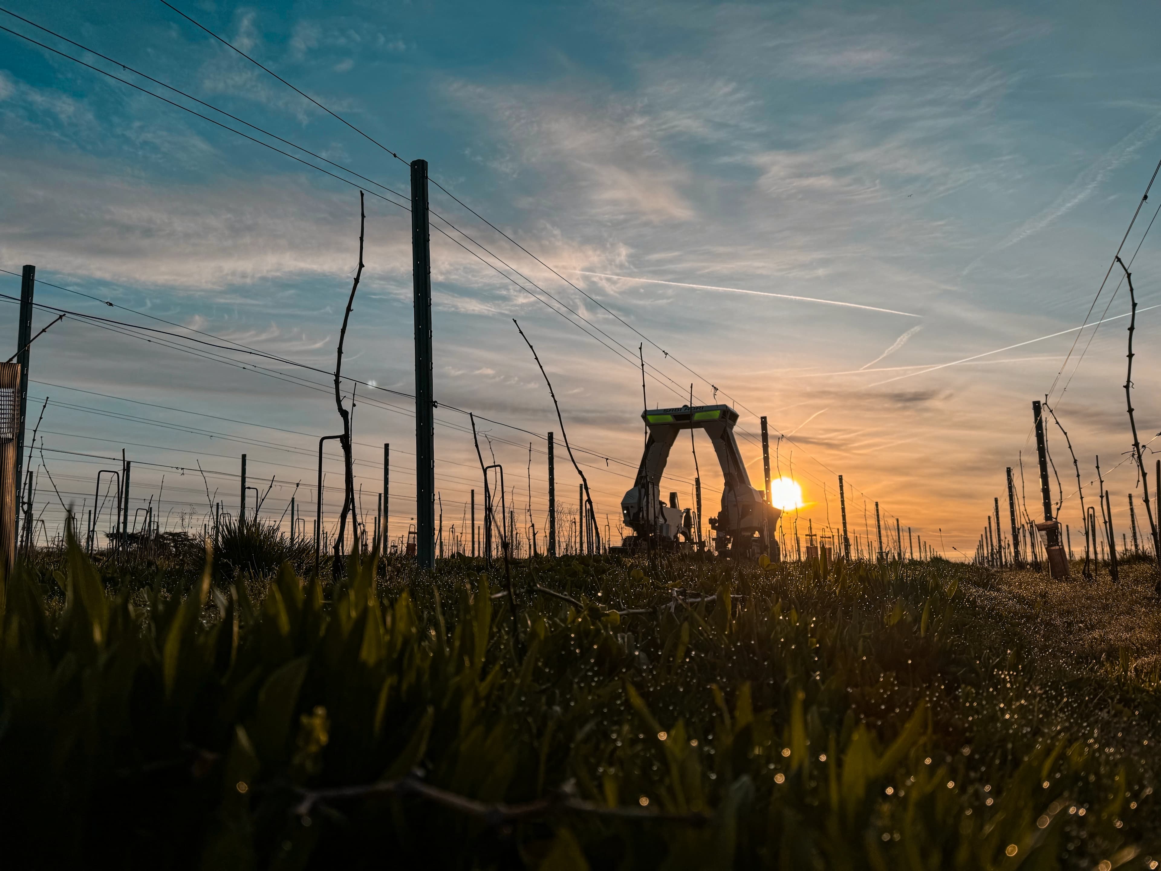 champs au crépuscule avec un tracteur