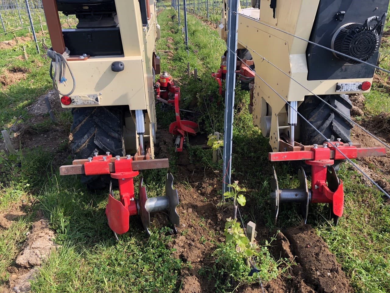 Décavaillonneuse associée à des cover crop pour gérer l'herbe sous le rang et dans l'inter rang en un seul passage